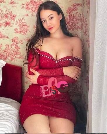 meena classic escort service surat